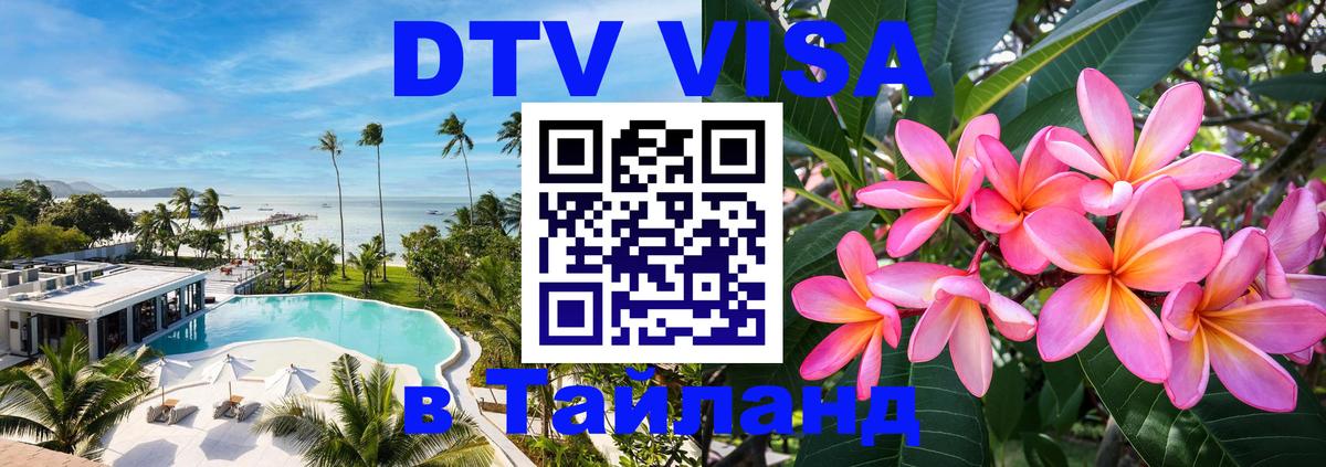 Сколько стоит DTV виза — актуальные цены, оформление даже без документов - Краснодар 
